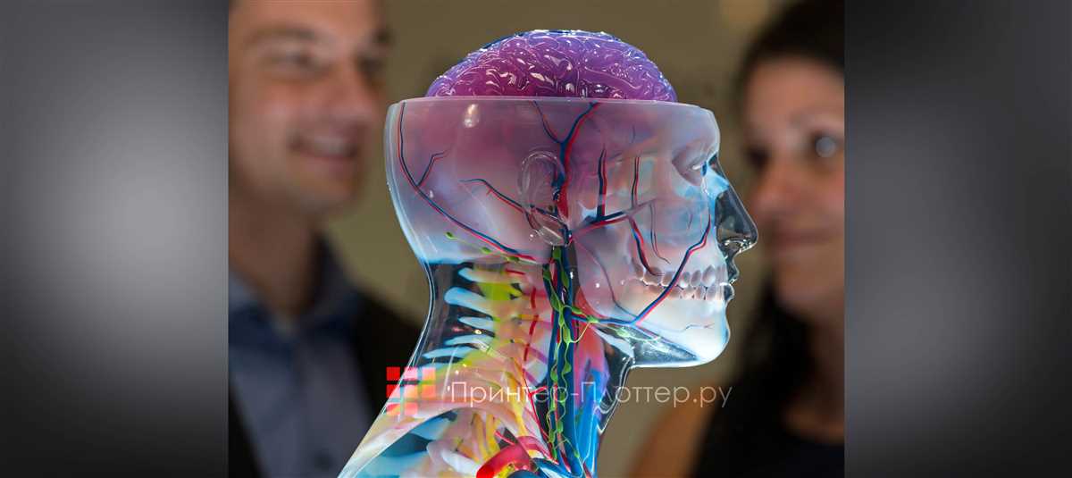 3D печать человека: открытие новых возможностей в медицине и искусстве