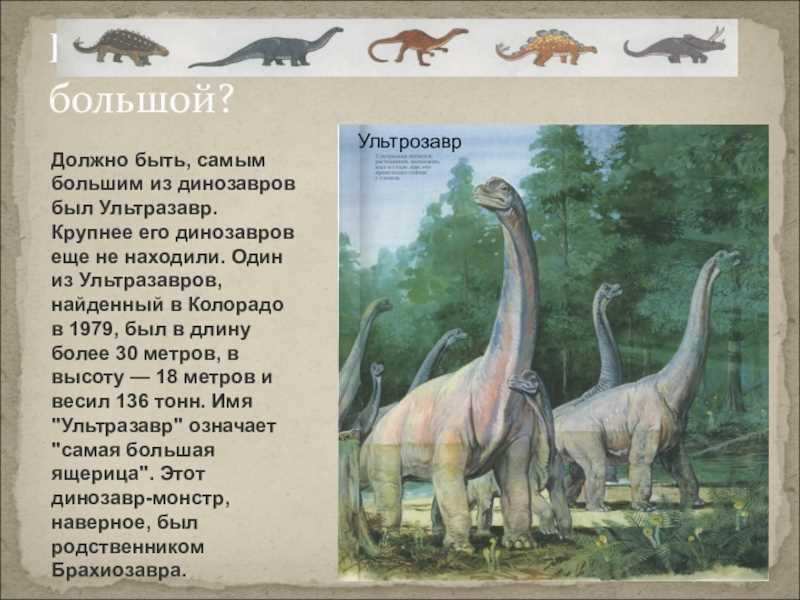 Знаменитые открытия динозавров