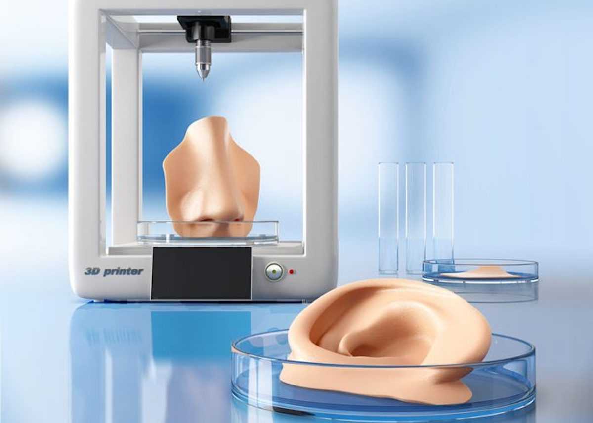 Перспективы печати органов на 3D-принтере: когда станет возможным?