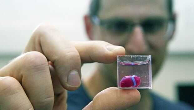 Живое сердце напечатали на 3D-принтере: новый прорыв в медицине